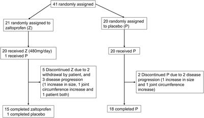 Randomized placebo-controlled double-blind phase II study of zaltoprofen for patients with diffuse-type and unresectable localized tenosynovial giant cell tumors: The REALIZE study